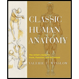 Classic Human Anatomy