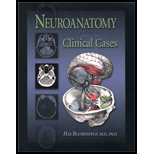 Neuroanatomy Through Clinical Cases
