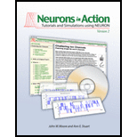 Neurons in Action 2 - With CD