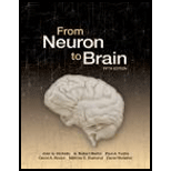 From Neuron to Brain - Text Only