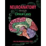 Neuroanatomy Through Clinical Cases - With eBook