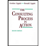 Consulting Process in Action (Paperback)