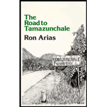 Road to Tamazunchale