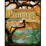 Illustrated Guide to Pruning