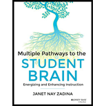 Multiple Pathways to the Student Brain: Energizing and Enhancing Instruction (Paperback)