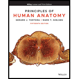 Principles of Human Anatomy (Looseleaf)