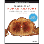 Principles of Human Anatomy (Looseleaf) - With WileyPLUS