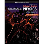 Fundamentals of Physics (Looseleaf) - Print Companion Volume 2