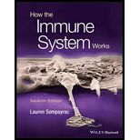 How the Immune System Works