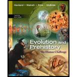 Evolution and Prehistory : Human Challenge