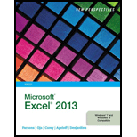 Microsoft Excel 2013, Brief