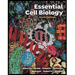 Essential Cell Biology
