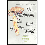 Mushroom at the End of the World