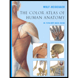 Color Atlas of Human Atatomy