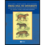 From DNA to Diversity (Paperback)
