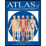 Atlas of Human Anatomy