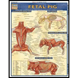 Fetal Pig: Quick Study Chart