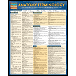 Anatomy Terminology