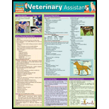 Veterinary Assistant