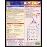 Molecular Biology