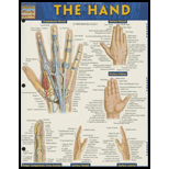 Hand