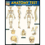 Anatomy Test