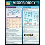 Microbiology