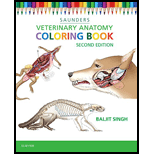 Veterinary Anatomy Coloring Book