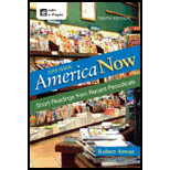 America Now: 2013 Issue