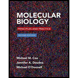 Molecular Biology: Principles and Practices