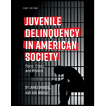 Juvenile Delinquency in American Society