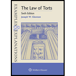 Law of Torts: Examples and Explanations