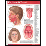 Ear, Nose and Throat Chart Size: 1 Panel
