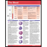 Blood Chart Size: 1 Panel