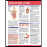 Digestive System Disorders Chart Size: 1 Panel