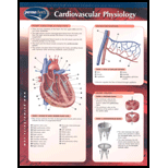 Cardiovascular Physiology Chart Size: 2 Panel