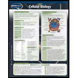 Cellular Biology Chart Size: 2 Panel