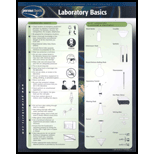 Laboratory Basics Chart Size: 2 Panel