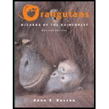 Orangutans: Wizards of the Rainforest