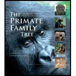 Primate Family Tree: The Amazing Diversity of Our Closest Relatives