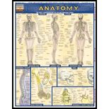 Anatomy: Quick Study Chart