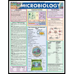 Microbiology Quick Reference Chart