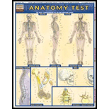 Anatomy Test: Quick Study Chart
