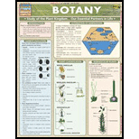 Botany: Quick Study Chart