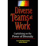 Diverse Teams at Work