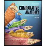 Comparative Anatomy (Looseleaf)