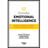 Everyday Emotional Intelligence: Big Ideas and Practical Advice on How to Be Human at Work