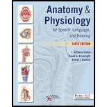 Anatomy and Physiology for Speech, Language, and Hearing - With Access