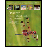 Insects: Their Natural History and Diversity