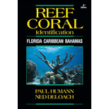 Reef Coral Identification